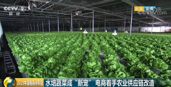 2019中國(guó)電商半年報(bào):國(guó)人前5個(gè)月網(wǎng)購(gòu)近4萬(wàn)億元