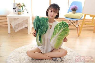 【創意仿真蔬菜抱枕西蘭花土豆大白菜青菜靠墊家居用品廠家批發】邗江區夢童玩具廠 - 產品庫
