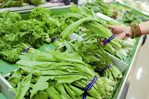漁歌醫療 全國多地叫停蔬菜膠帶