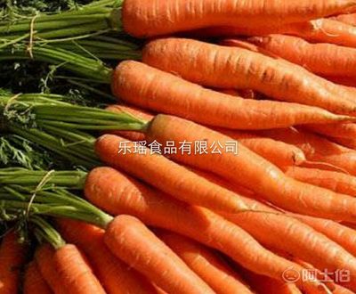【紅蘿卜粉 蔬菜水果胡蘿卜粉 營養輔料代餐胡蘿卜粉廠家】 - 產品庫