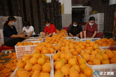 扶貧“832”平臺為巴東農副產品打開銷路