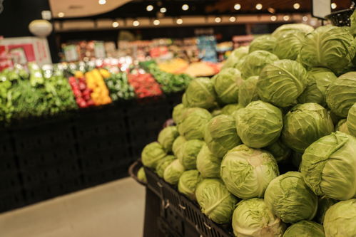包菜蔬菜商場超市商品貨物攝影圖 攝影