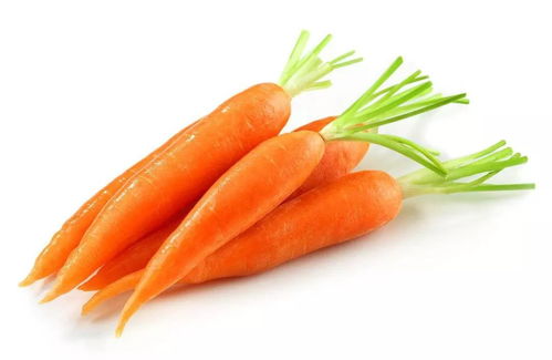 應季課堂 ▏冬季適合吃的幾種蔬菜 特價商品