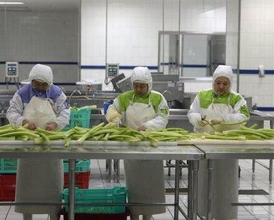 昂貴的高鐵快餐制作流水線(xiàn) 幾百斤肉一起炒 醬油按桶倒