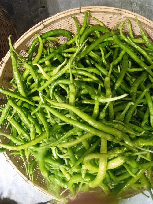 新鮮的蔬菜