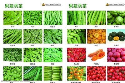 蔬菜畫冊圖片