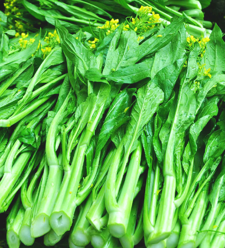 蔬菜攝影圖__蔬菜_生物世界_攝影圖庫_昵圖網nipic