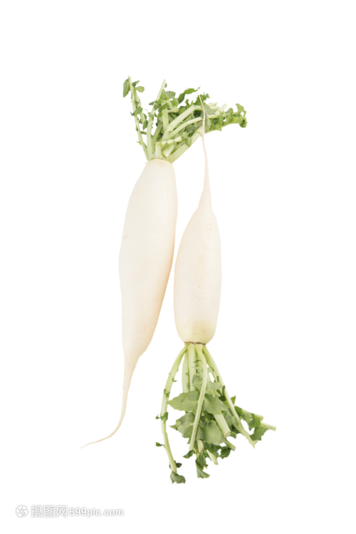 白蘿卜蔬菜